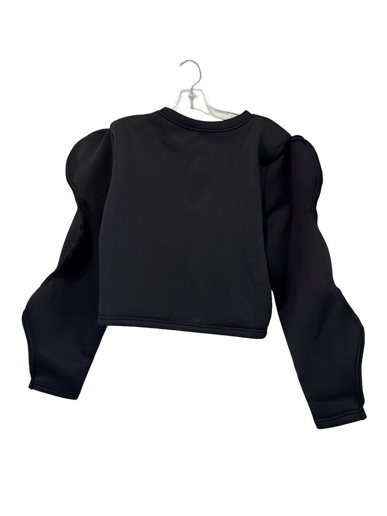 Balloon Sleeve Crop