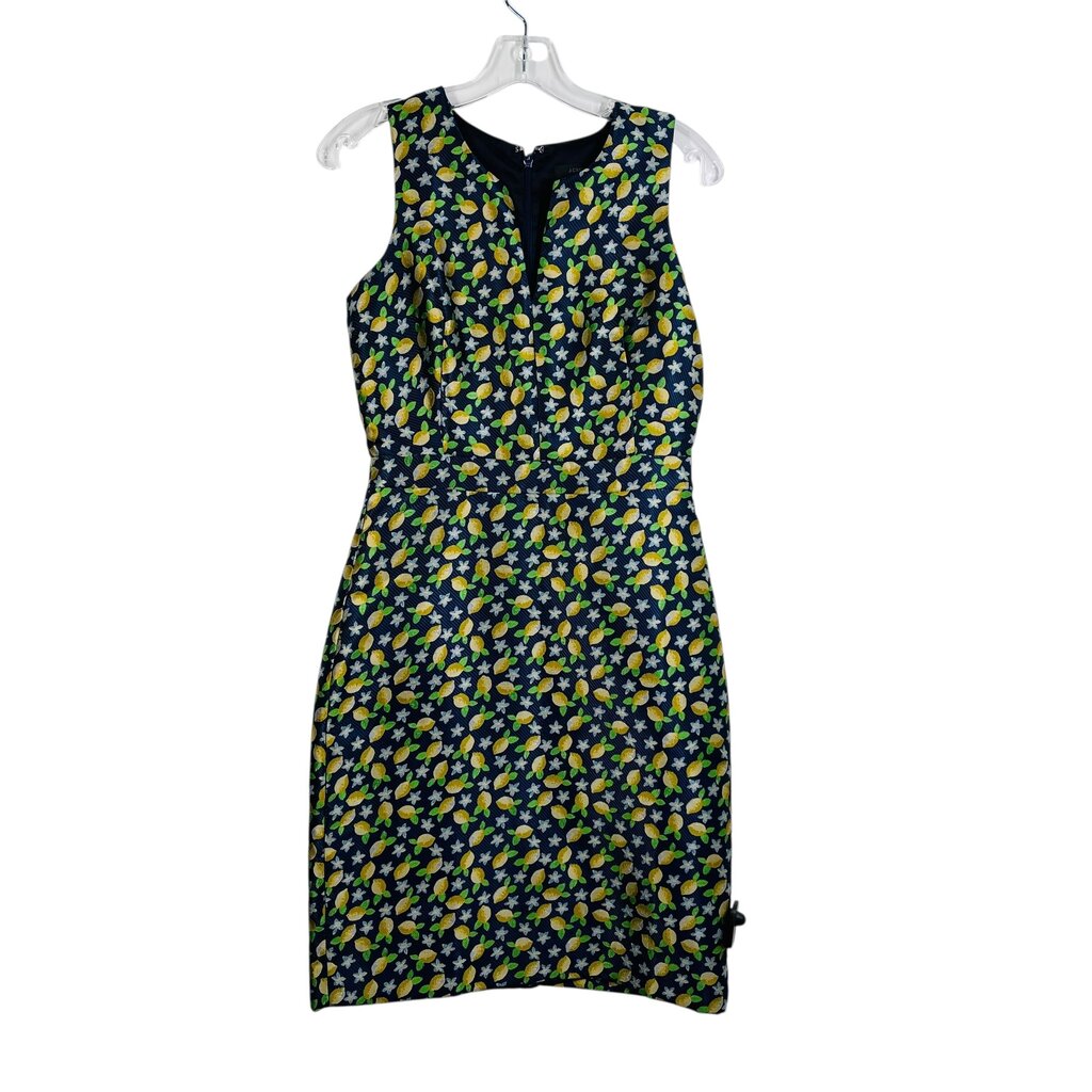 Lemon Print Vnk Slvs