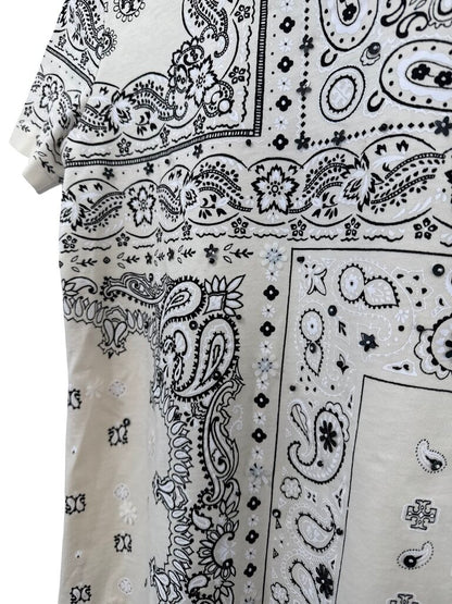 Pinwheel Paisley Print