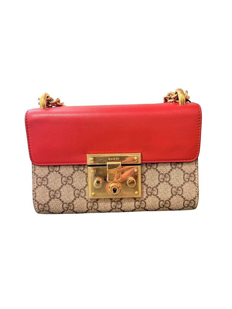 Padlock W/Gold Chain