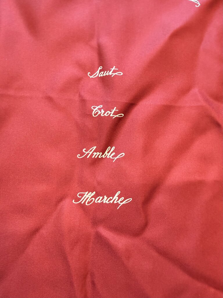 Allures silk